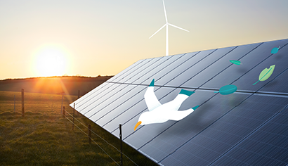 Electricité 100% renouvelable - Petits producteurs français testing