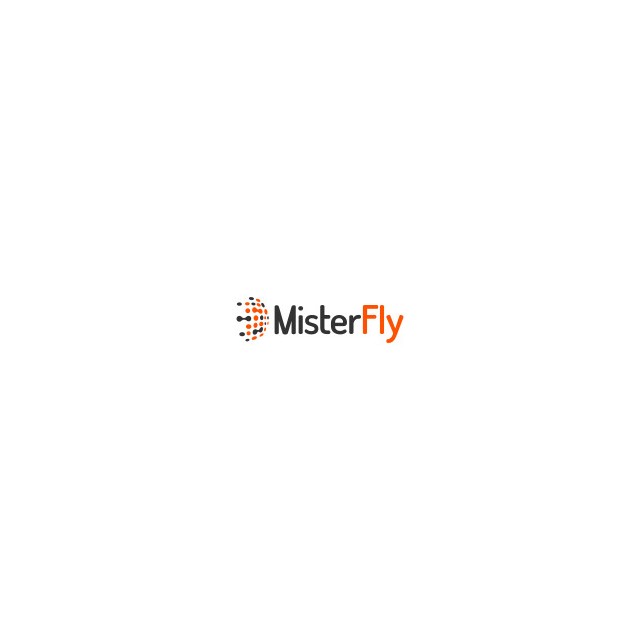 MisterFly image